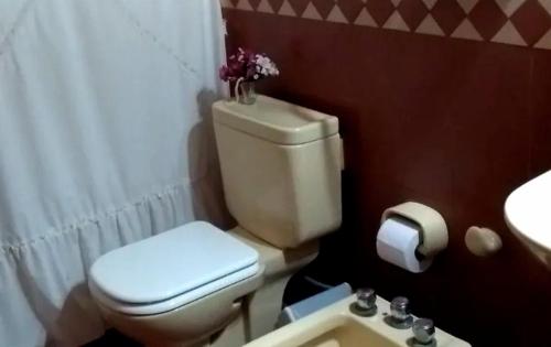 a bathroom with a white toilet and a sink at Casa Quinta Rodeada de Bodegas Piscina BBQ Mendoza in Maipú