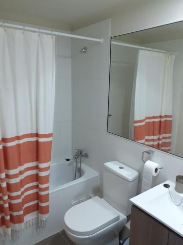 a bathroom with a toilet and a sink and a mirror at Departamento en Pucón in Pucón