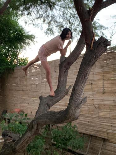 a woman standing on the top of a tree at La Casa de Diego in Zorritos