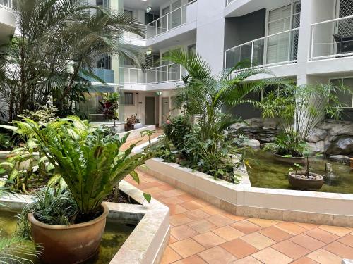 a garden filled with plants and flowers in front of a building at The Atrium Resort in Gold Coast