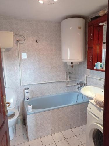 a bathroom with a tub and a toilet and a sink at Laki Marjanovic in Zlatibor