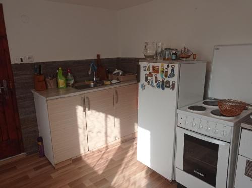 a kitchen with a white refrigerator and a stove at Laki Marjanovic in Zlatibor