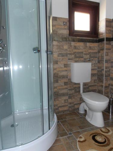 a bathroom with a toilet and a glass shower at Pensiunea Crai Nou in Şirnea