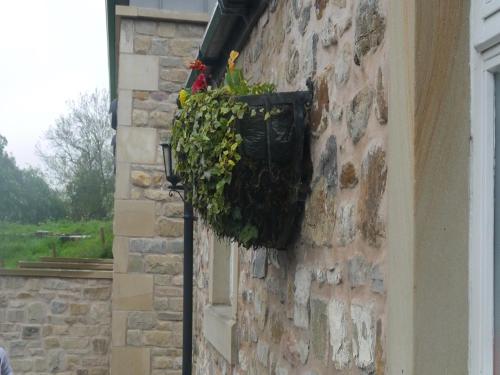 a planter on the side of a building with flowers at 3 Millstones Inn in West Bradford