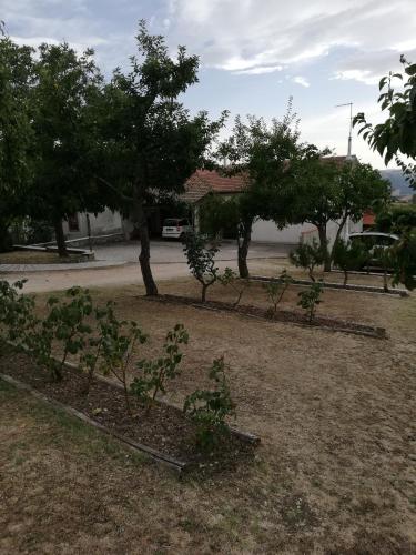 un gruppo di alberi e piante in un cantiere di Bed and Breakfast "POGGIO MARANO" a San Bartolomeo in Galdo