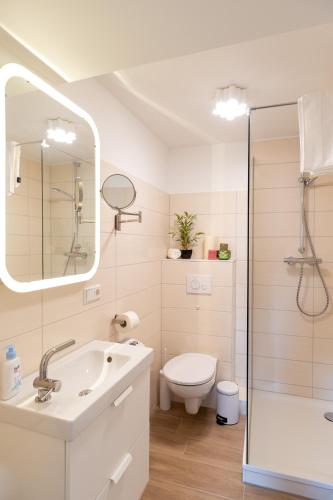a bathroom with a sink and a toilet and a shower at Ferienwohnung zum Marktplatz in Wernigerode