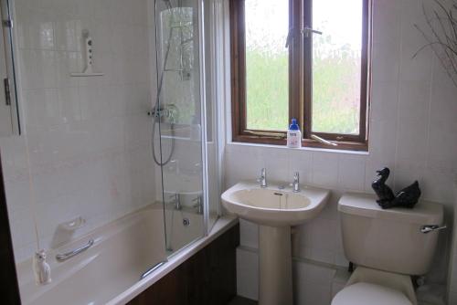 a bathroom with a sink and a toilet and a shower at Burnt Mill Cottage in Burnham on Crouch