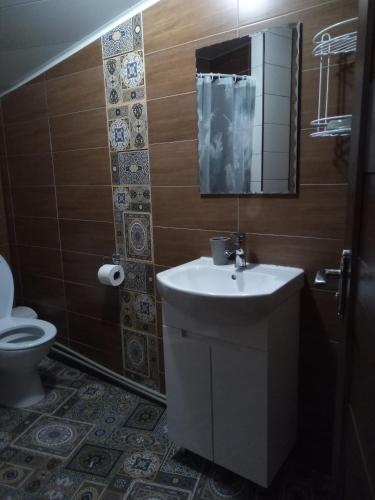 a bathroom with a sink and a toilet and a mirror at Апартаменти У Кузьмича однокімнатні студіо in Mykulychyn