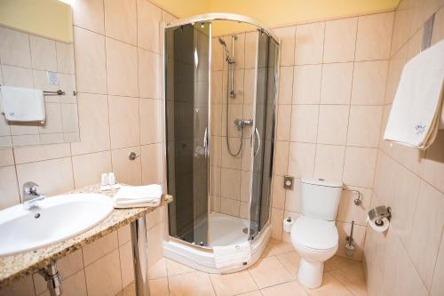 a bathroom with a shower and a toilet and a sink at Business Hotel Vega Wrocław in Wrocław
