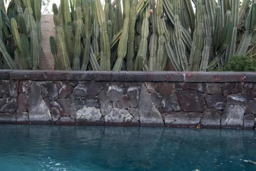 a retaining wall next to a swimming pool with cactus at Hiraeth Santorini in Megalokhori