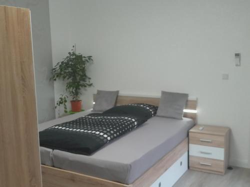 ein Bett in einem Zimmer mit einer Pflanze darauf in der Unterkunft Appartment Hochpaterre in Springe