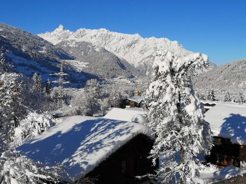 a snow covered tree in front of a mountain at Appartements Duengler in Schruns-Tschagguns