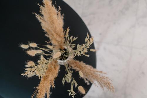 a close up of a bunch of dried grass at Nobel Hotel Ameland in Ballum