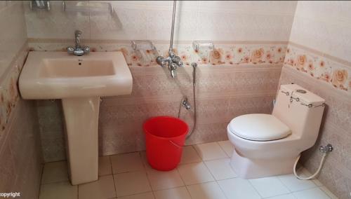La salle de bains est pourvue d'un lavabo et de toilettes. dans l'établissement Hotel Pine View & Restaurant, à Bālākot