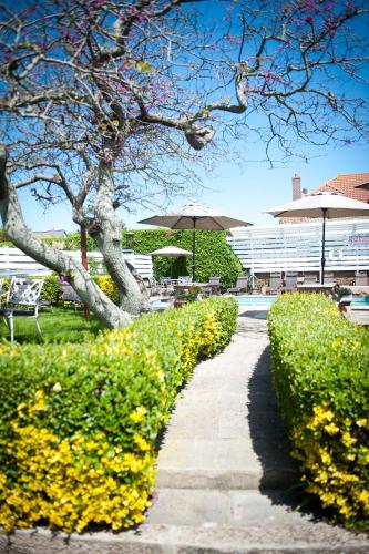 a walkway with yellow flowers in front of a building at Pontac House Hotel in St Clements
