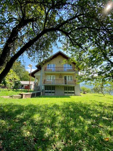 a large house on a green field with a tree at Vila Vidak in Mojkovac