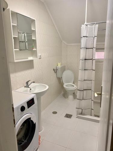 a bathroom with a washer and a washing machine at Vila Vidak in Mojkovac