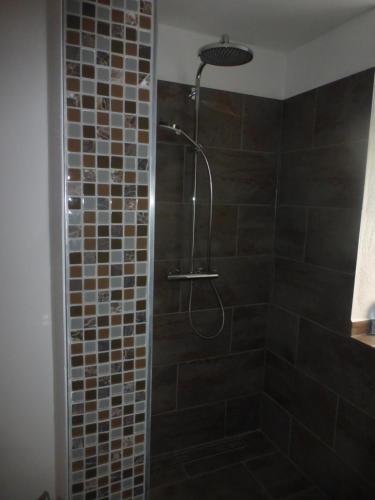 a shower with a shower head in a bathroom at Ferienunterkunft Vulkaneifel - Baltes-Haus in Brockscheid