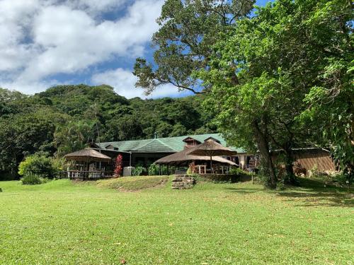 una casa con un árbol y un patio de césped en Umtamvuna River Lodge en Port Edward