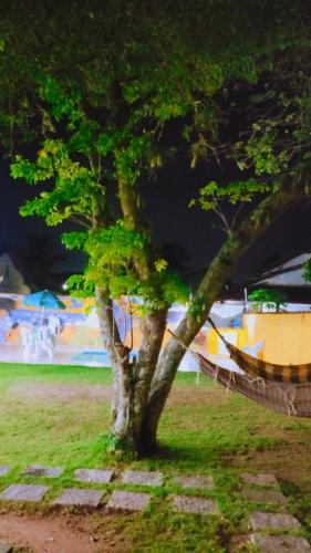 Camping Aconchego com piscina – Photos 5