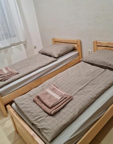 two beds sitting next to each other in a room at Kasnyik winery in Strekov
