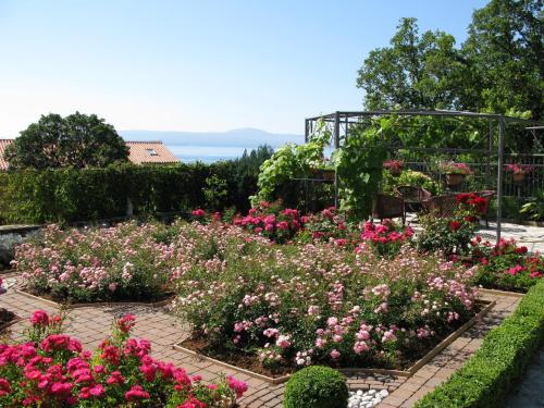 a garden filled with lots of pink flowers at Bed and Breakfast Villa Iris in Mošćenička Draga