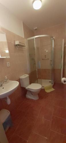 a bathroom with a toilet and a shower and a sink at U Rozhovoru in Rovensko pod Troskami