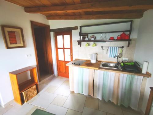 eine Küche mit einer Spüle und einer Arbeitsplatte in der Unterkunft Studio Apartment Belvedere in Grožnjan