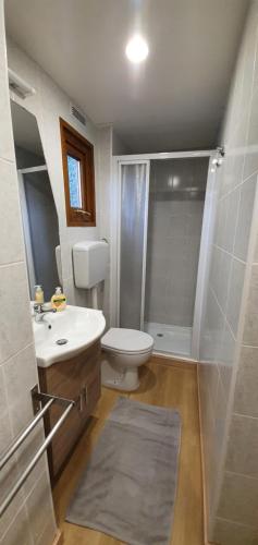 ein Bad mit einem WC, einem Waschbecken und einer Dusche in der Unterkunft Casa Vacanze Santoro in Peschici