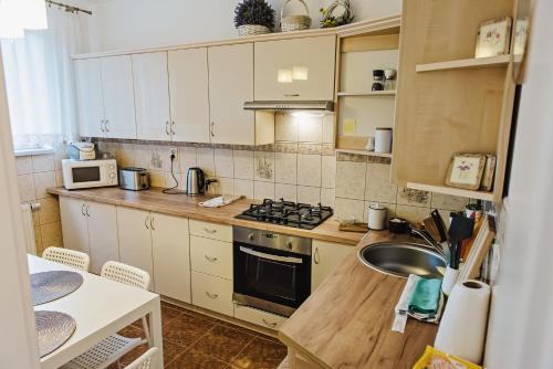 a kitchen with a sink and a stove top oven at Apartament Witkiewicza Sanok in Sanok