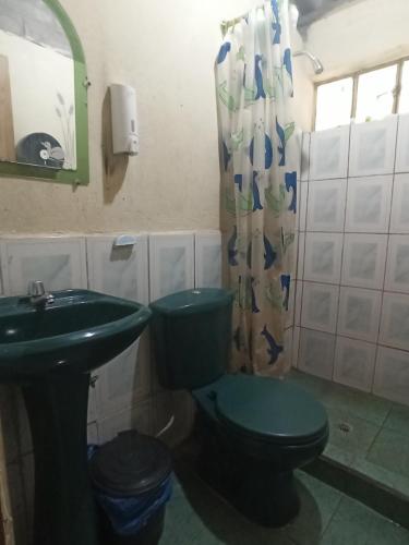 bagno con servizi igienici verdi e lavandino di Hostal La Rosita Guayama- Quilotoa a Quilotoa