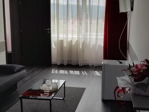 Foto de la galeria de Hotel Simeria a Gura Humorului