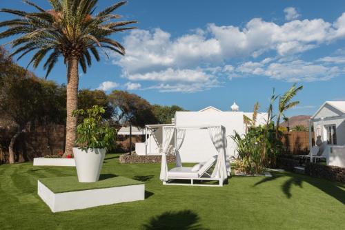 a lawn with a chair and a palm tree at Villas New Lanzasuites in Playa Blanca