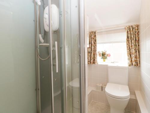a bathroom with a toilet and a glass shower at Cariad Cottage in Ludlow