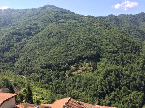 a village in the middle of a mountain at house in the medieval village in Apricale