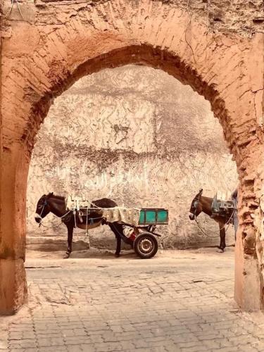 a horse pulling a cart in a stone archway at Riad Palmier in Marrakech