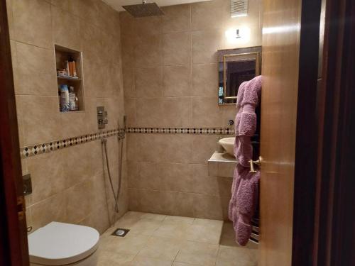 e bagno con doccia, servizi igienici e lavandino. di Osborne Lodge a Ryde