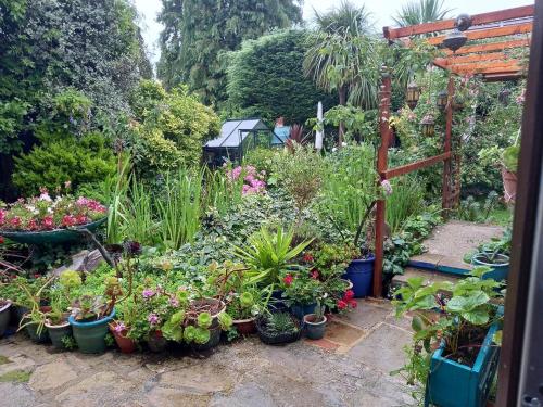 einen Garten voller Pflanzen und Blumen in der Unterkunft Osborne Lodge in Ryde