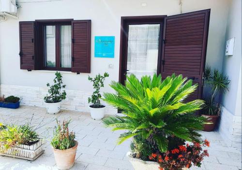 Κήπος έξω από το Sulfurea B&B ***