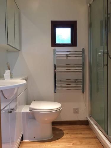 a bathroom with a toilet and a glass shower at The Studio in London