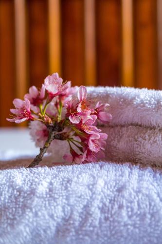 a pink flower sitting on top of a towel at Chalé da Bel in Santo Antônio do Pinhal