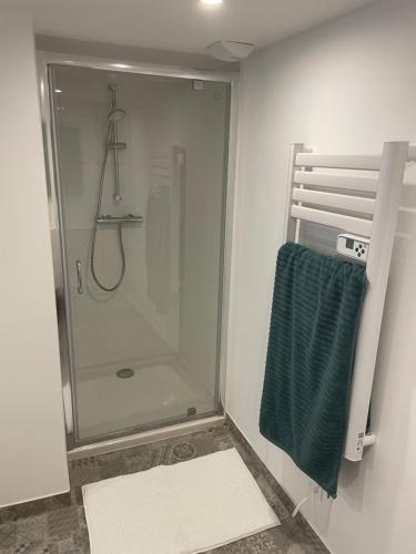 La salle de bains est pourvue d'une douche et d'une serviette verte. dans l'établissement duplex cosy au cœur de Royat, à Royat