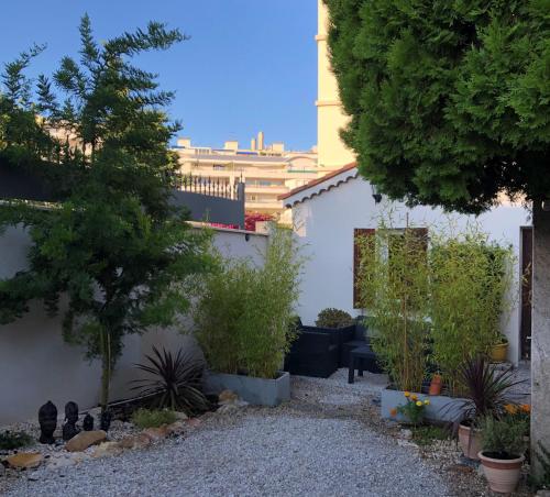 a garden with plants and a building in the background at Studio Bijou Plage Antibes Juan-les-Pins in Antibes