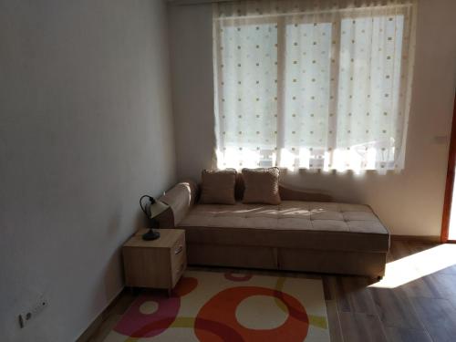 ein Wohnzimmer mit einem Sofa und einem Fenster in der Unterkunft Apartmani Tara i Zabojsko Dobrilovina in Mojkovac