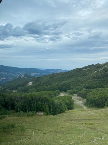 a view of a green hillside with a dirt road at Ca’ Alba in Sestola