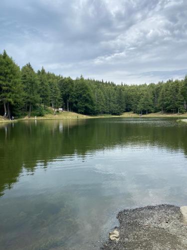 a large body of water with trees in the background at Ca’ Alba in Sestola