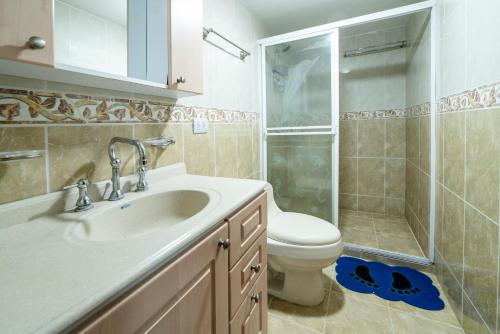 圣玛尔塔Amplio apartamento frente a la playa El Rodadero的带水槽、马桶和淋浴的浴室