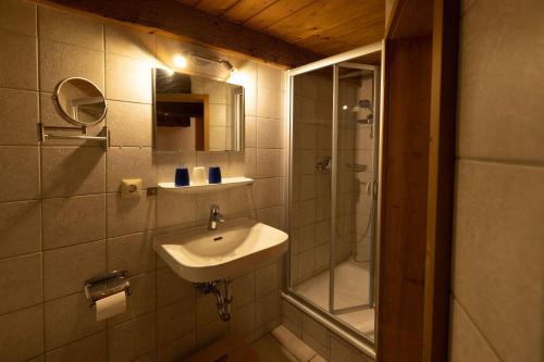 uma casa de banho com um lavatório e um chuveiro em Ferienhof-Gerda-Ferienwohnung-Storchennest em Oberkirnach