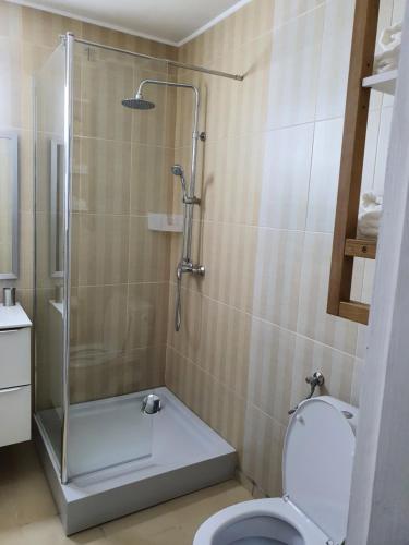 a bathroom with a shower and a toilet at Vila 4 Anotimpuri in Moieciu de Sus