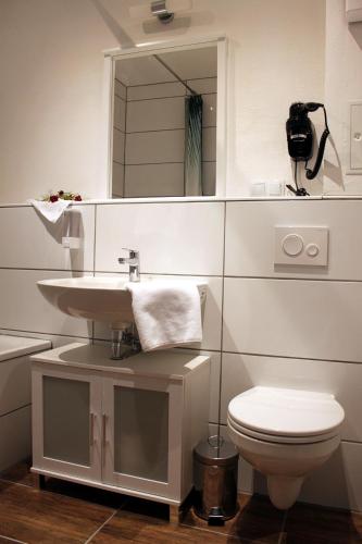 a bathroom with a sink and a toilet and a mirror at Pension Budissin in Bautzen